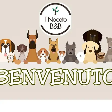 Il Noceto B&B Bed & Breakfast 3*