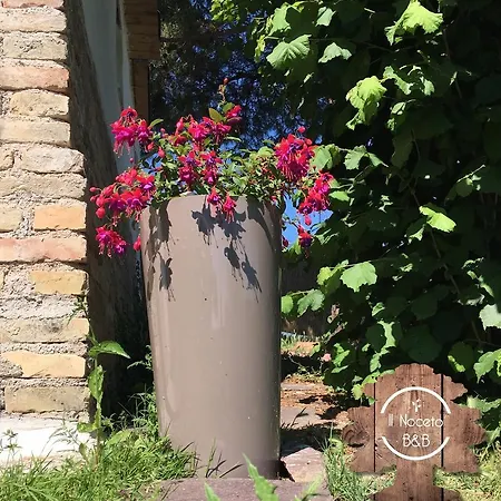 Bed & Breakfast Il Noceto B&B 3*