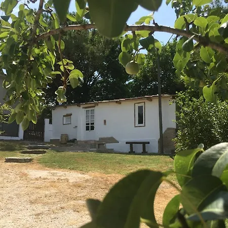 Il Noceto B&B 3* Trecastelli
