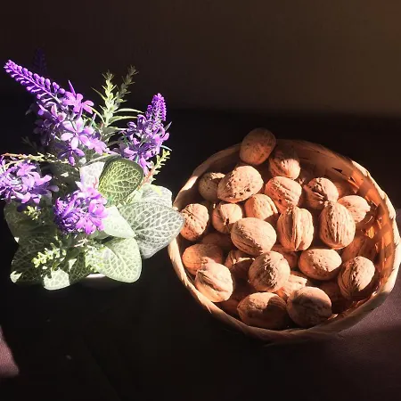 Il Noceto B&B 3* Trecastelli
